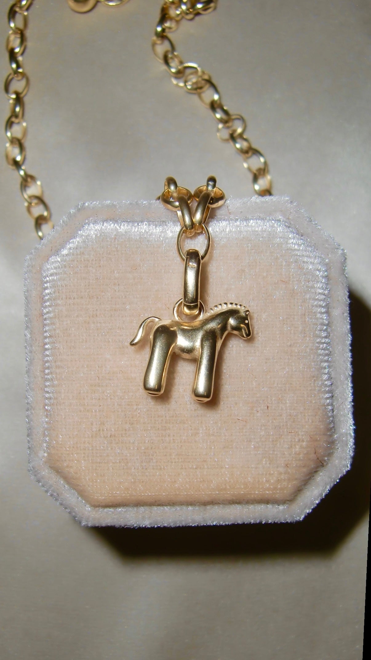 Pony