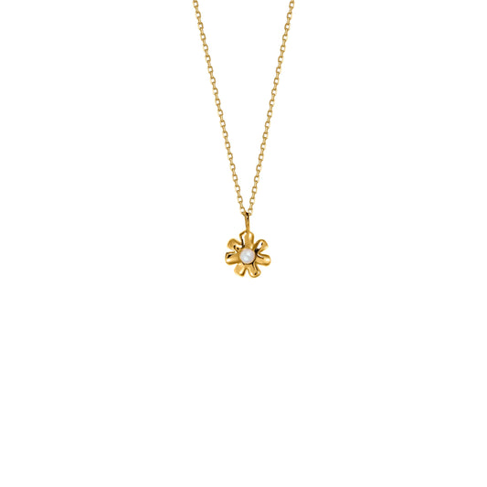 Naszyjnik Daisy Mini Gold