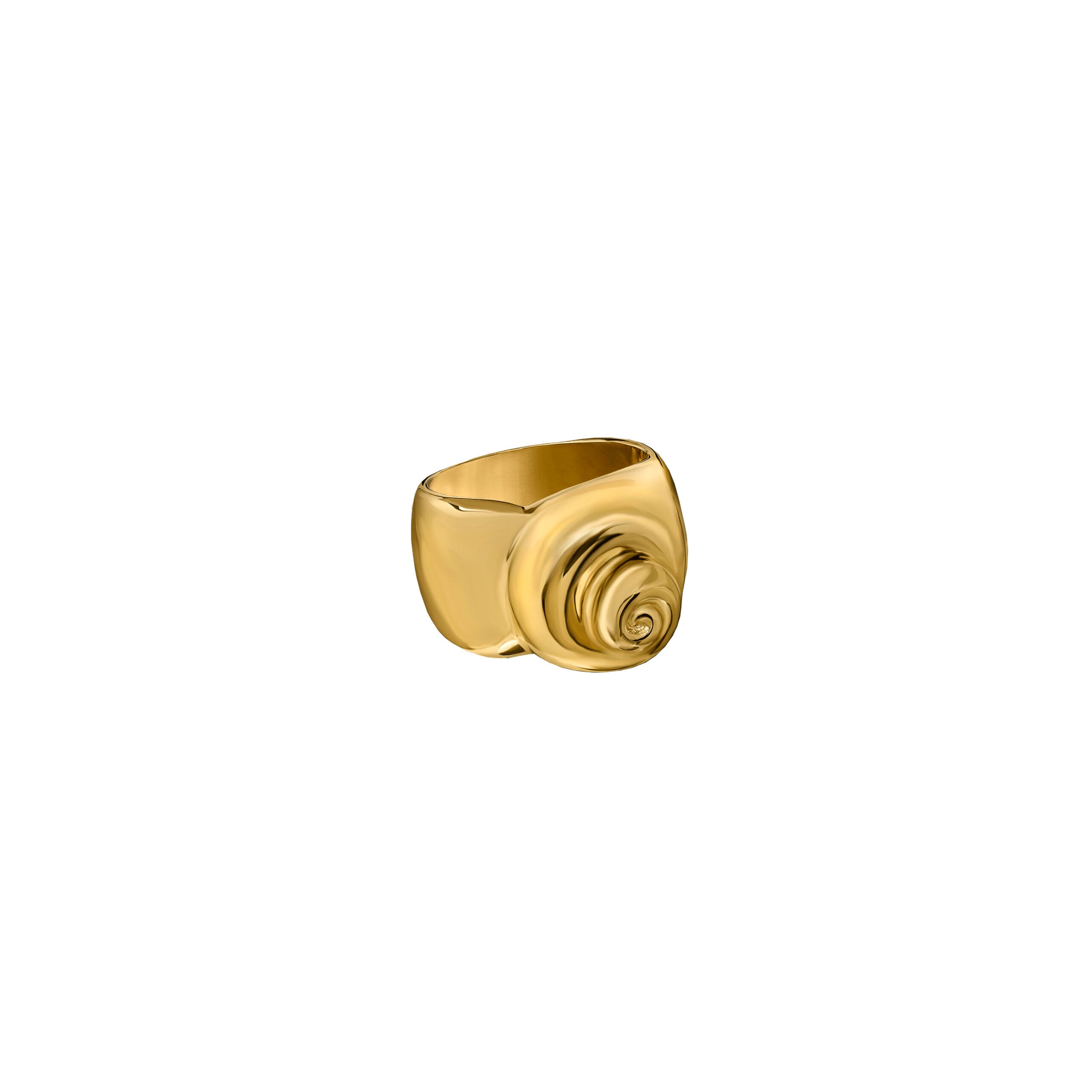 Sygnet Shell Gold