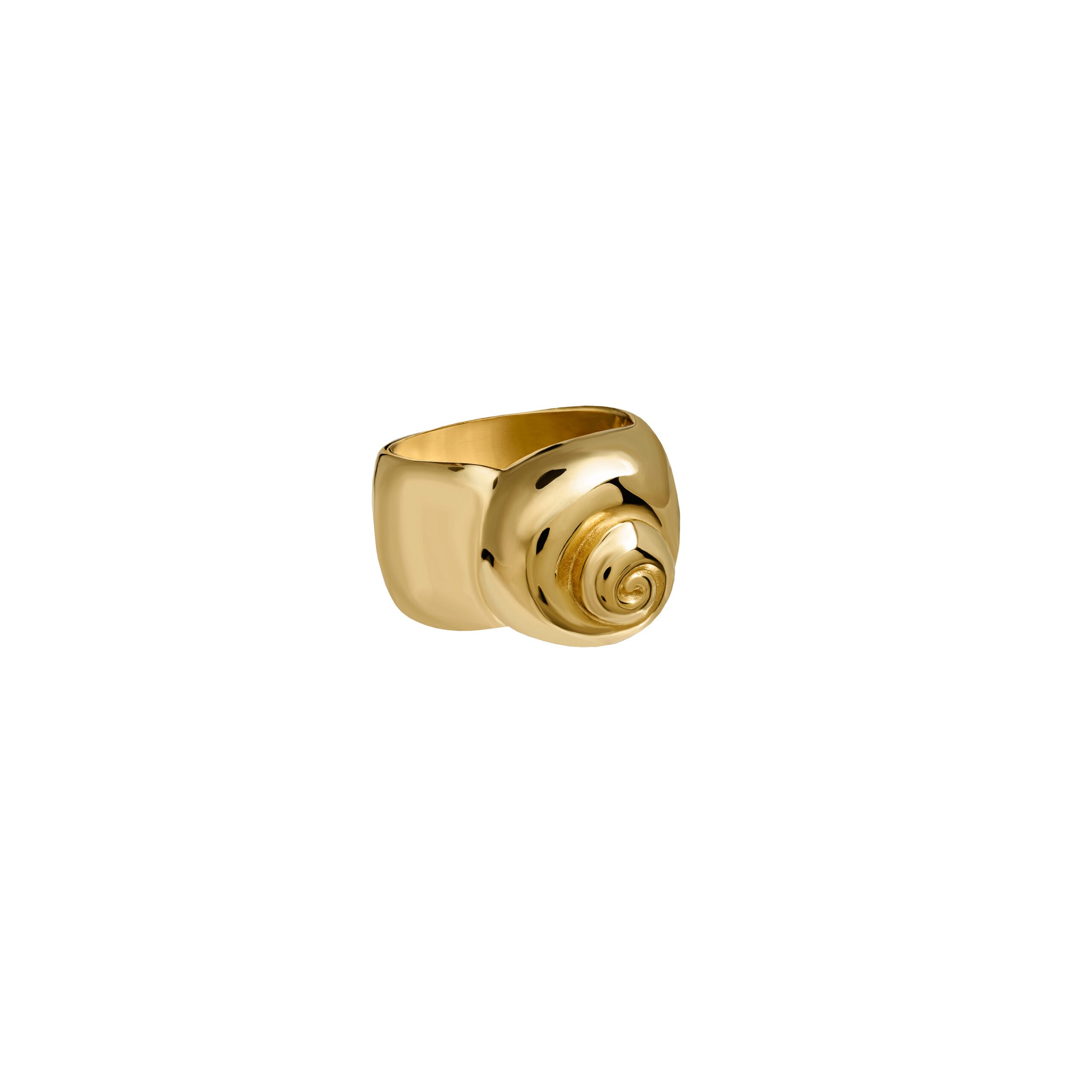 Sygnet Shell Gold