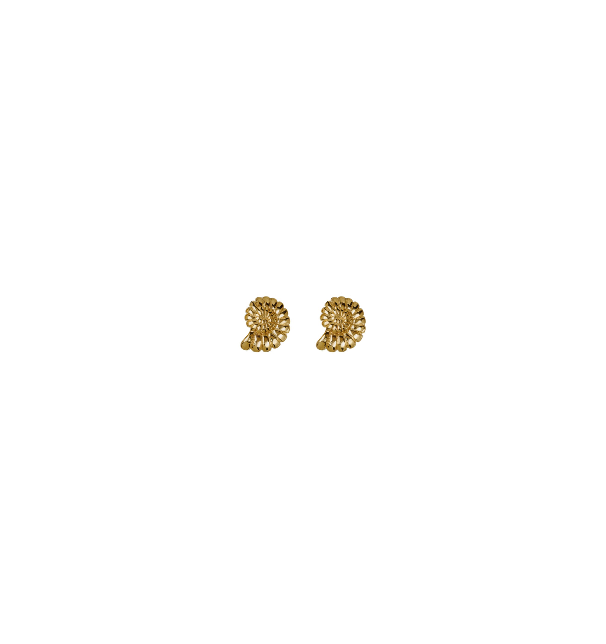 Kolczyki Shell 2 Mini Gold