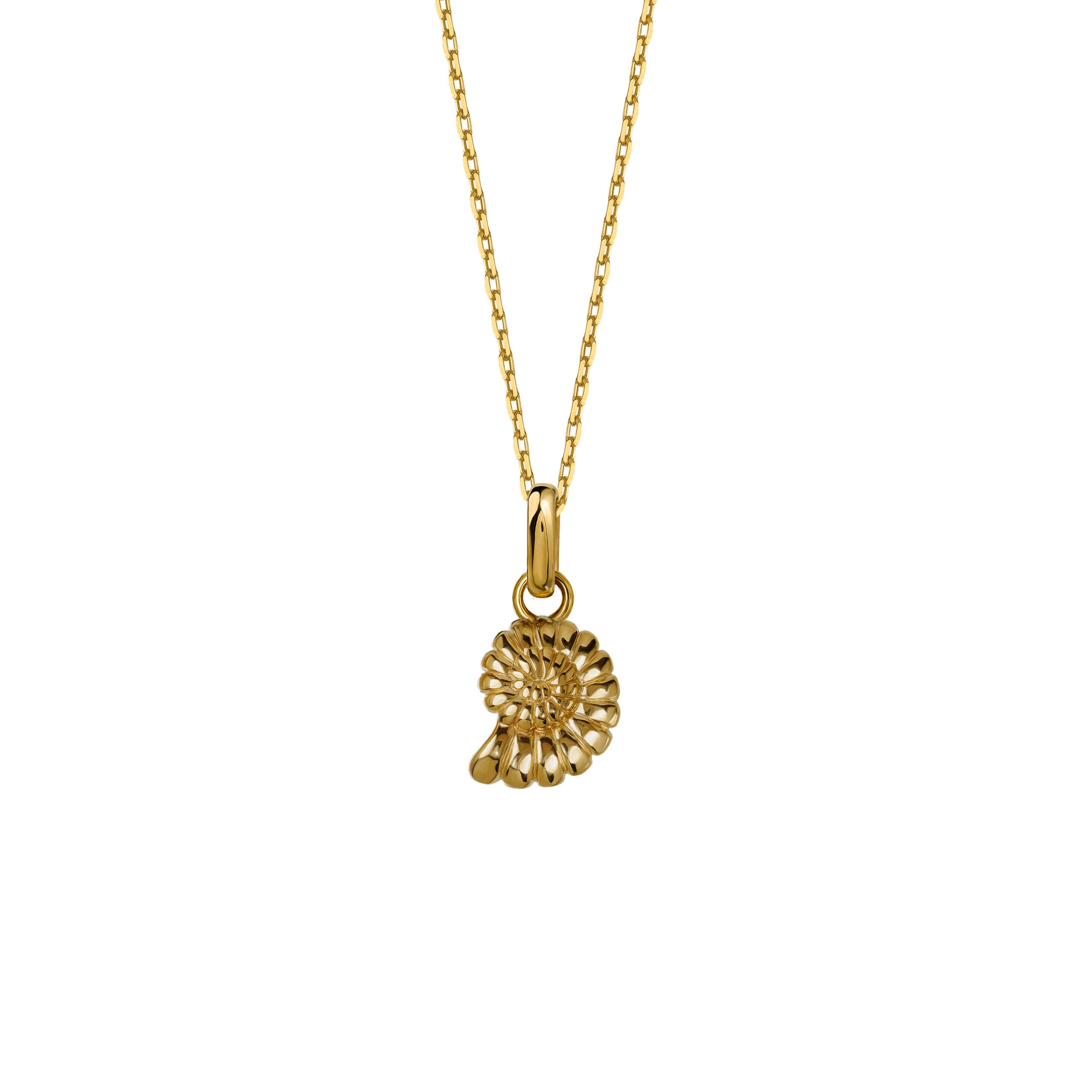 Naszyjnik Shell 2 Gold