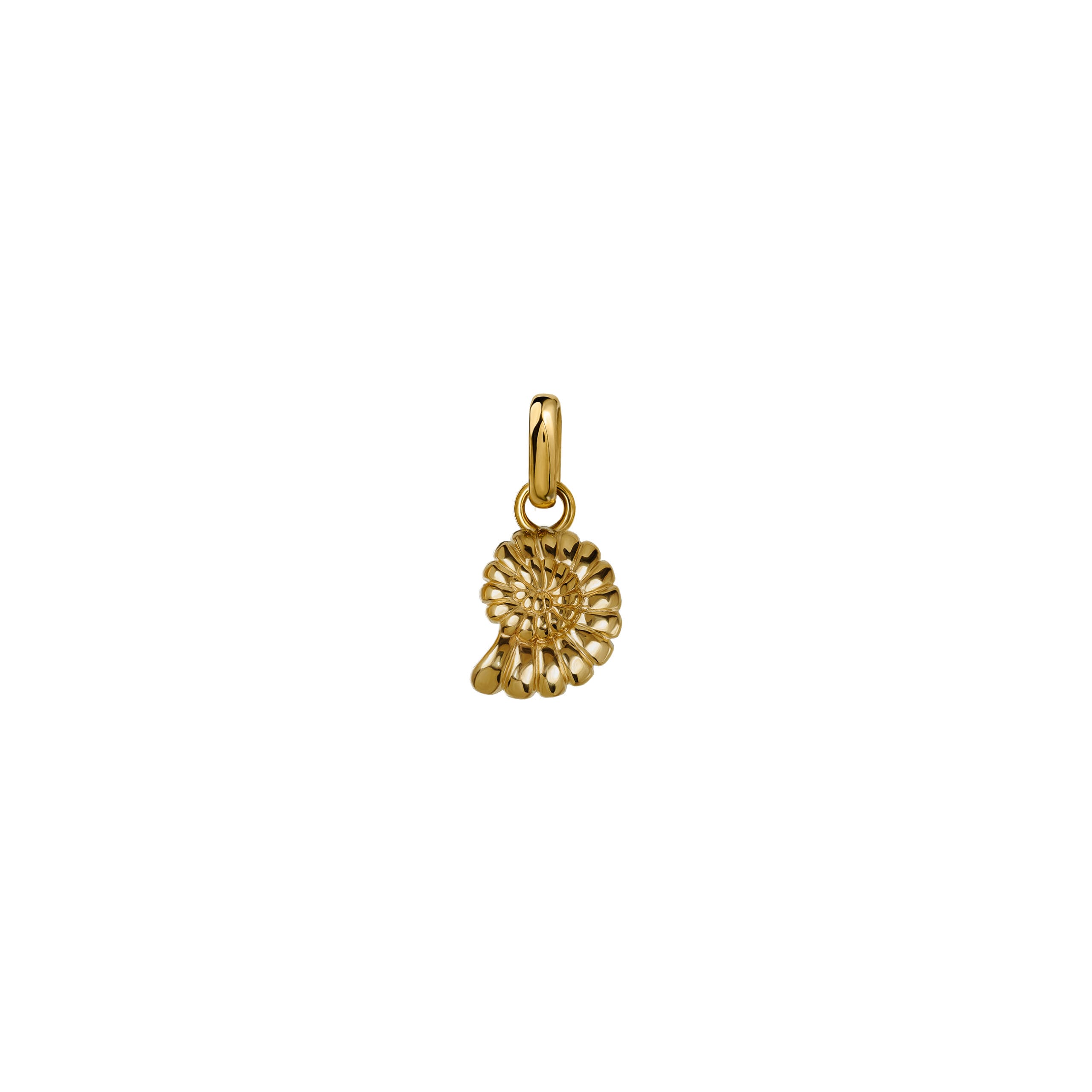 Zawieszka Shell 2 Gold