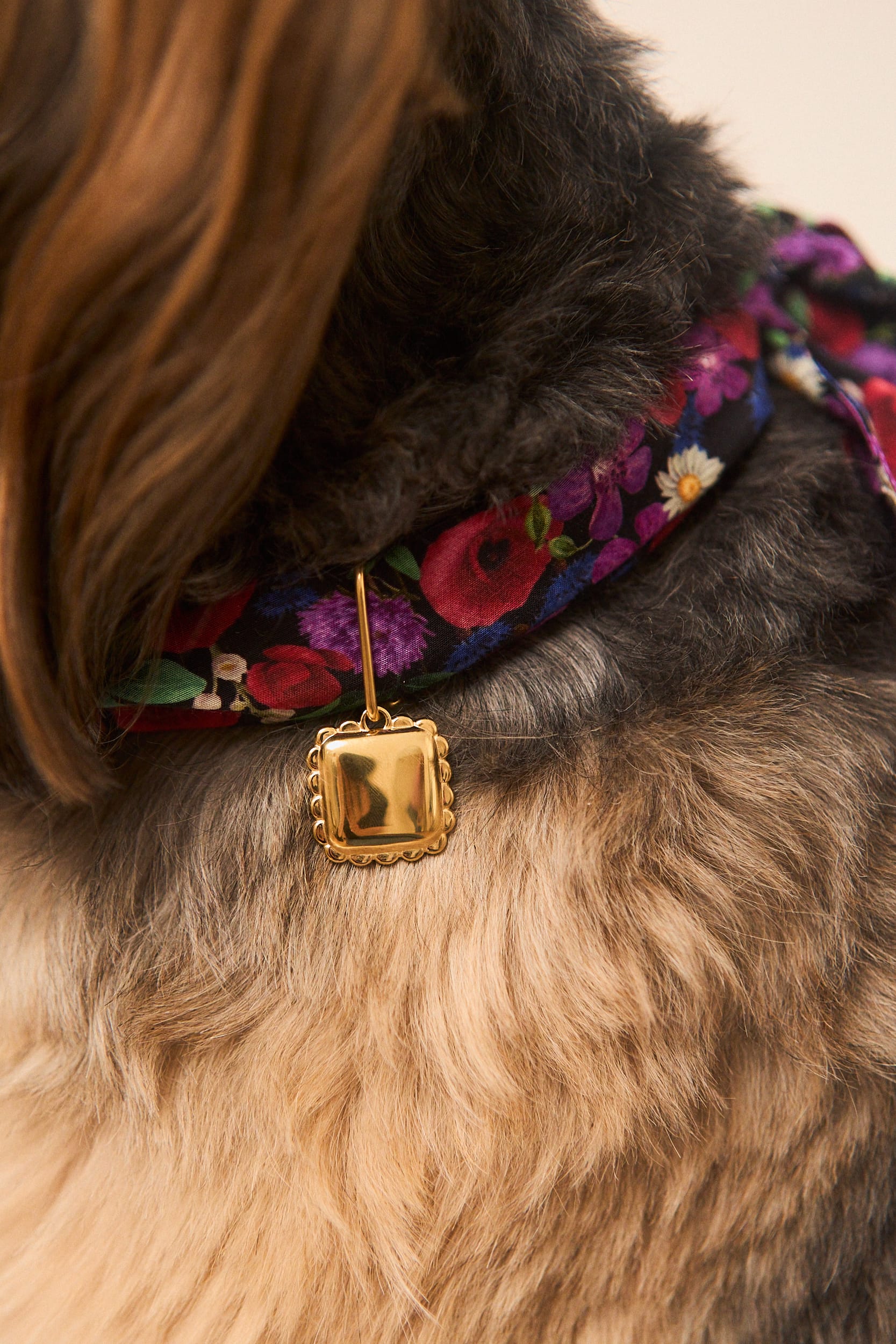 Adresówka Dog Square Gold