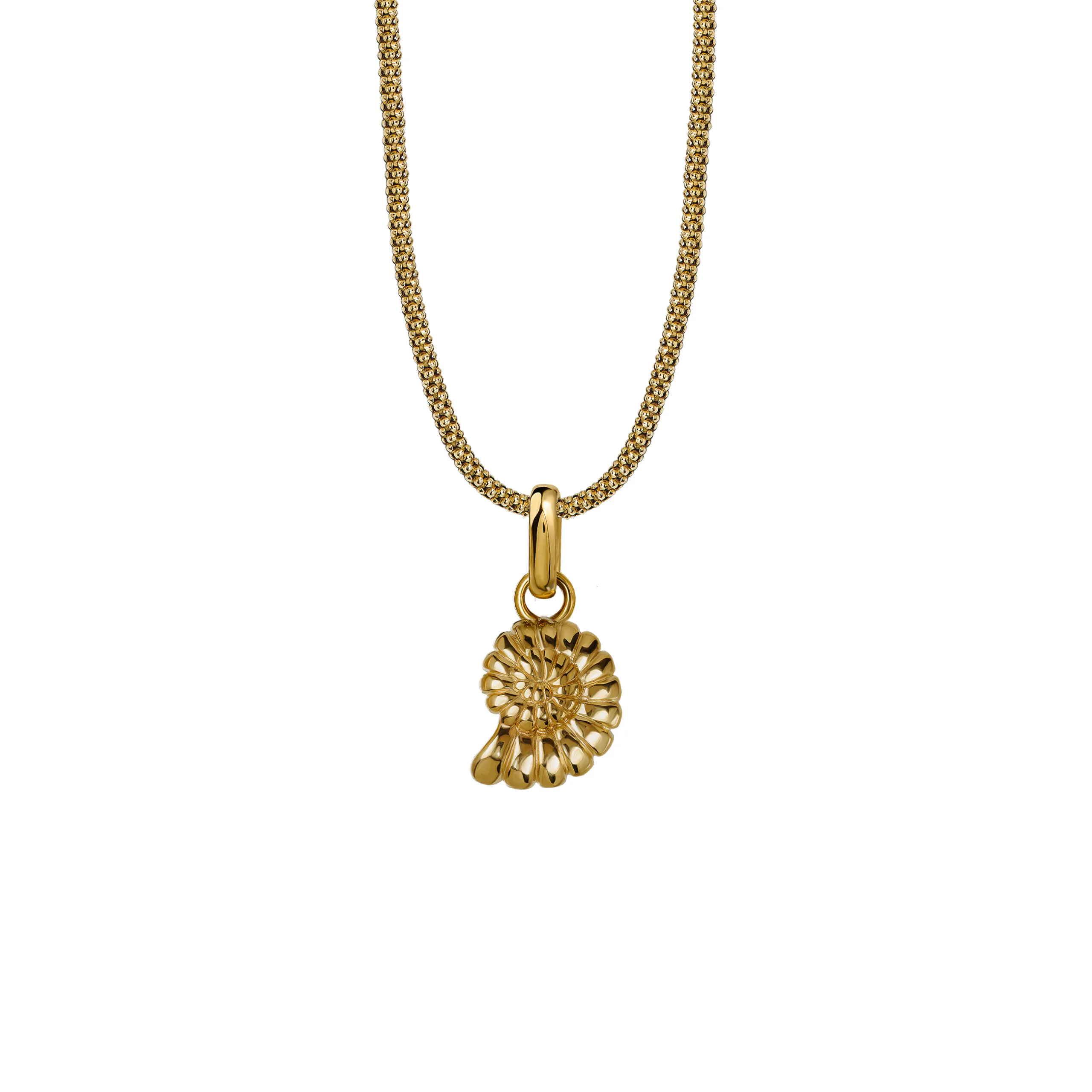 Naszyjnik Shell 2 Gold Owal